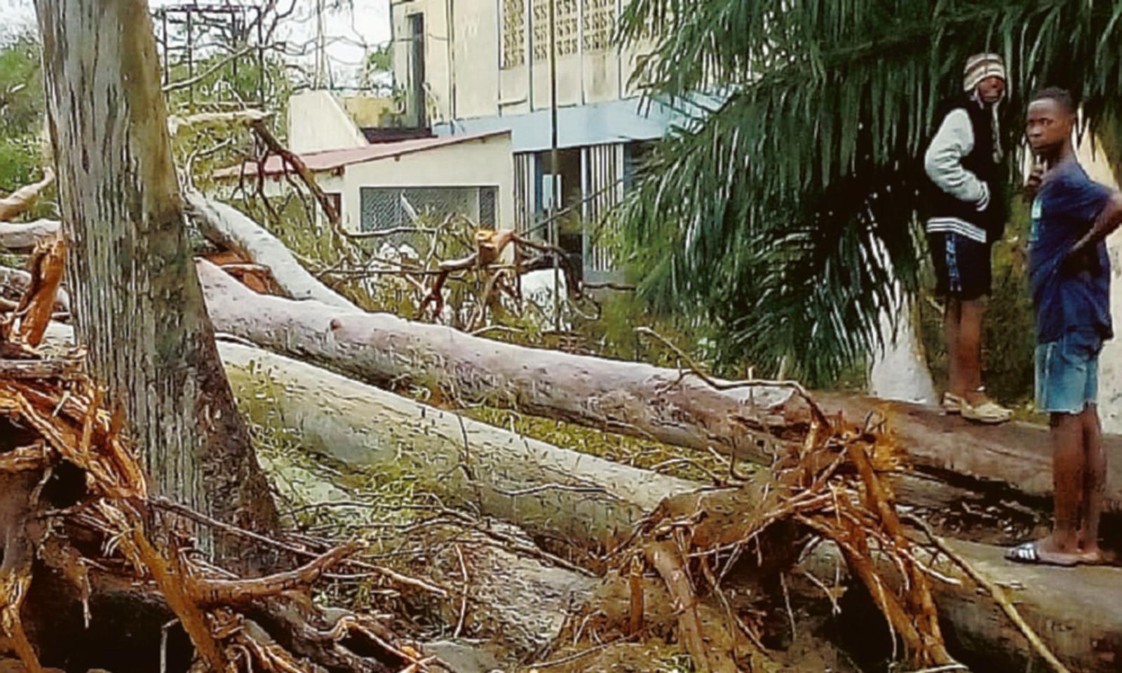 &ldquo;E&rsquo; stata dura, ma sto bene il ciclone ha distrutto tutto&rdquo;