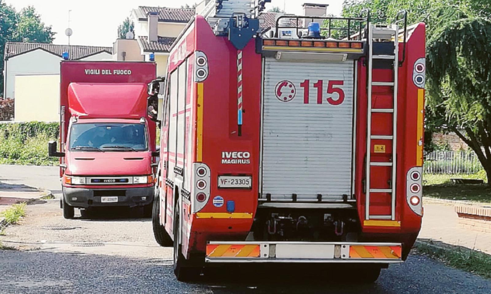 Alberi pericolanti per vento e pioggia