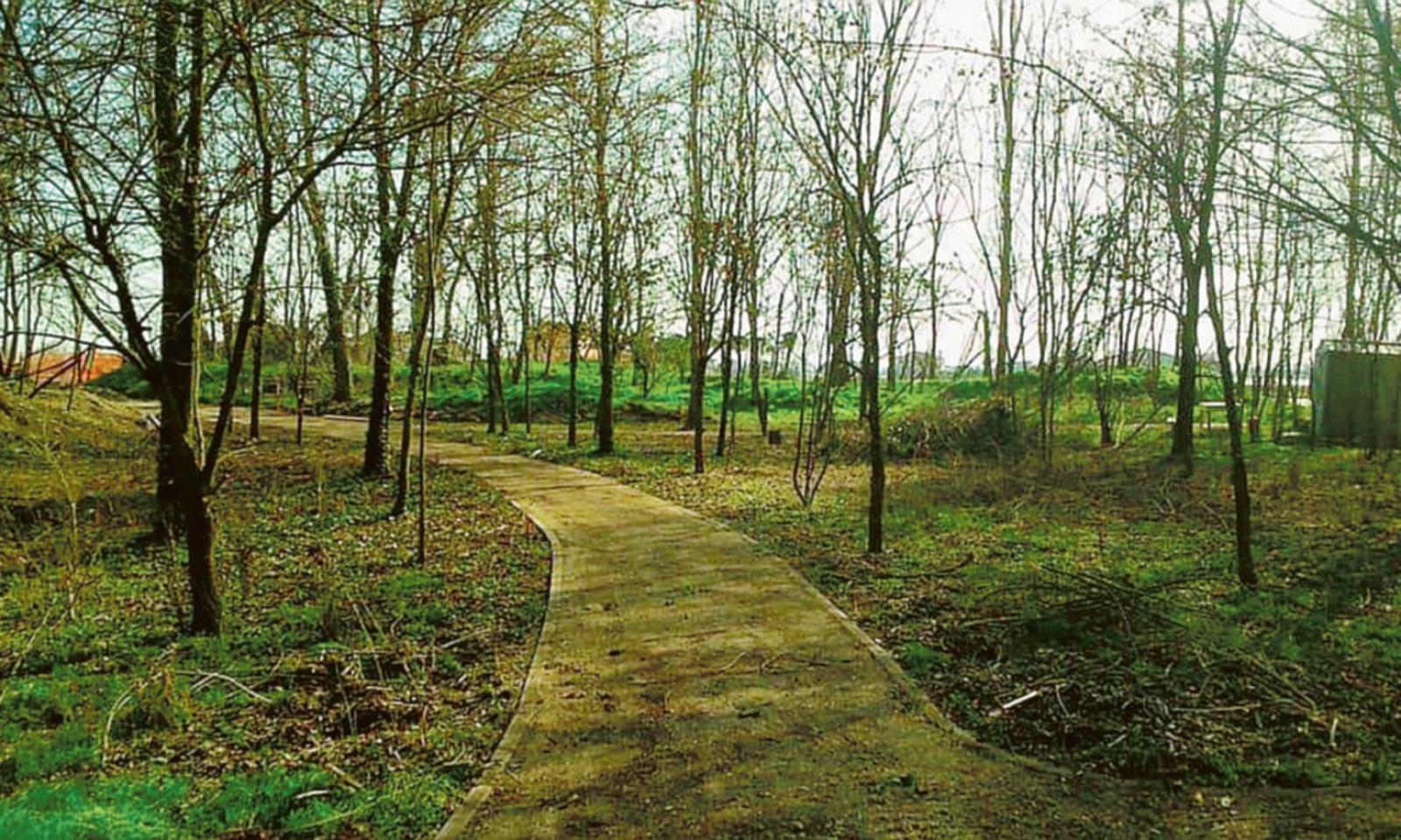 Un percorso per le dune fossili
