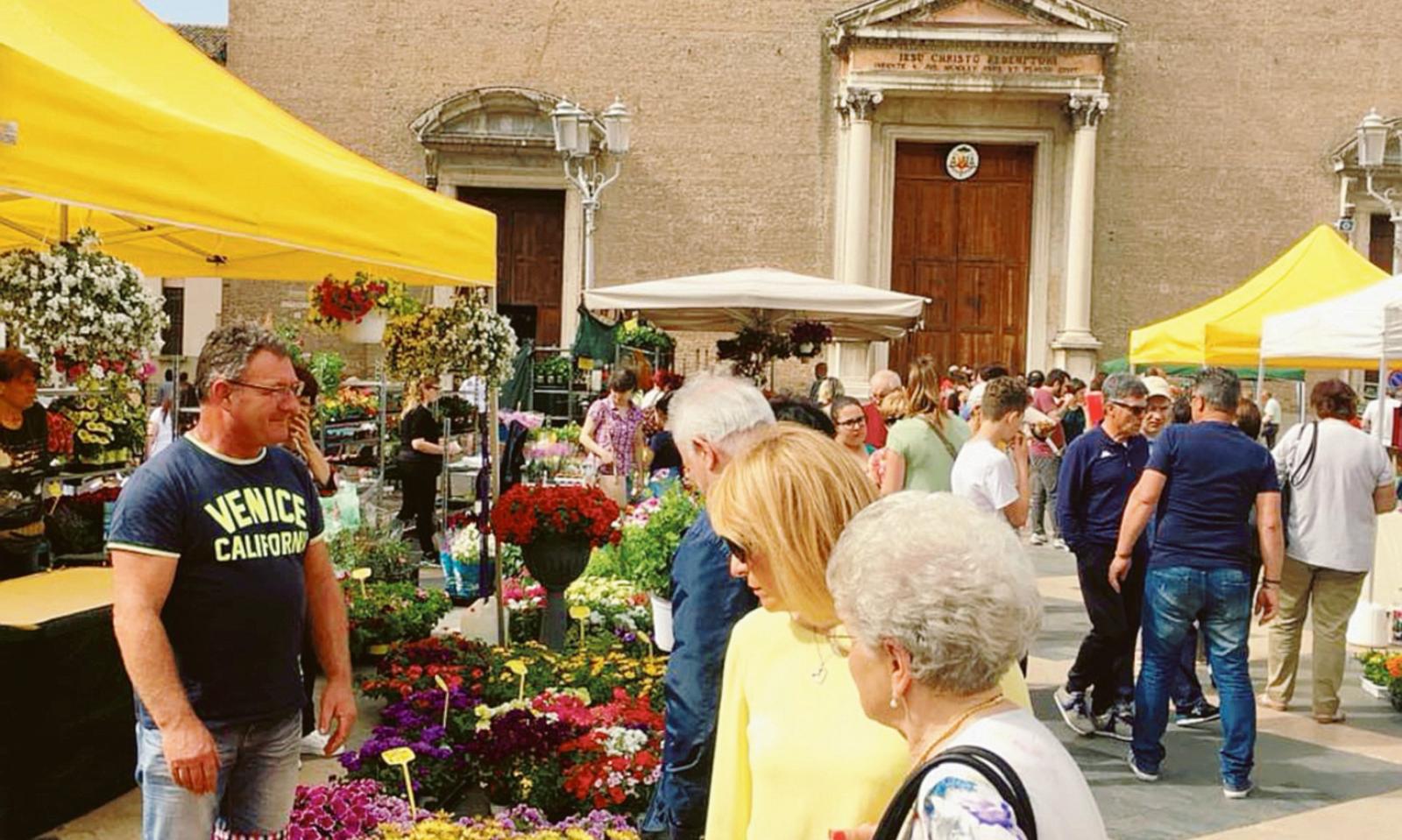 I fiori &ldquo;spuntano&rdquo; nelle piazze