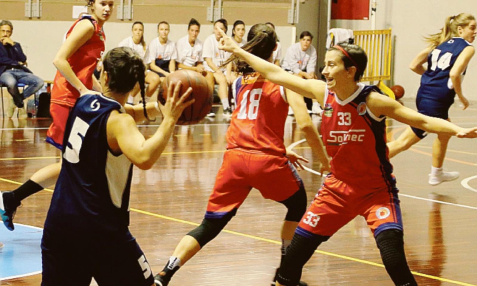 Rhodigium ko a testa alta