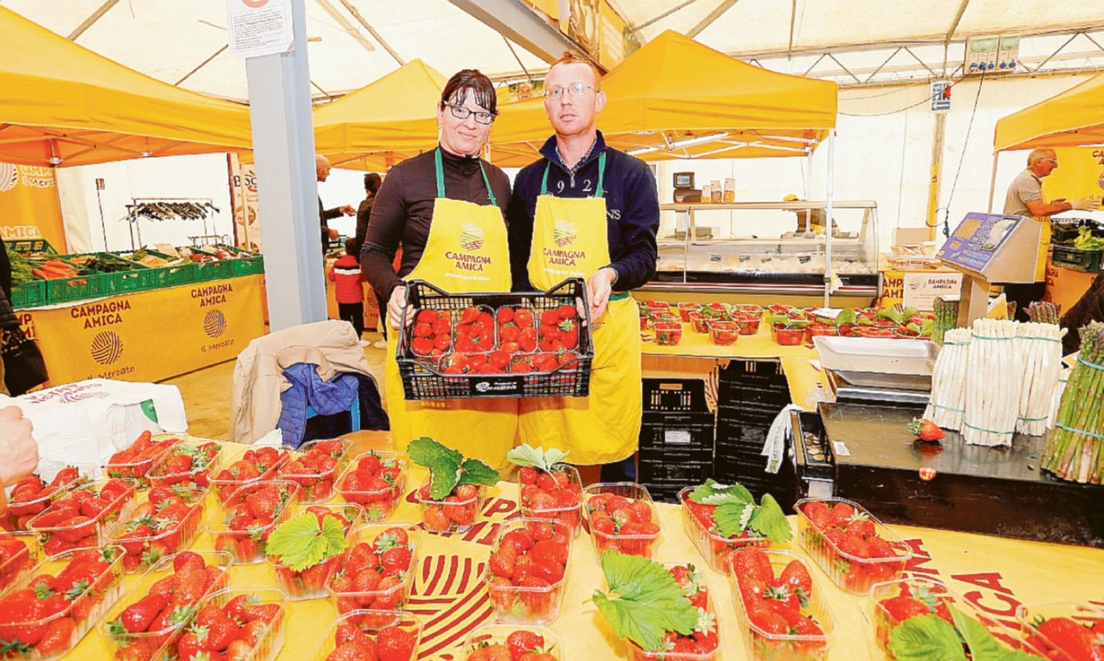 Ecco le fragole dei nostri campi