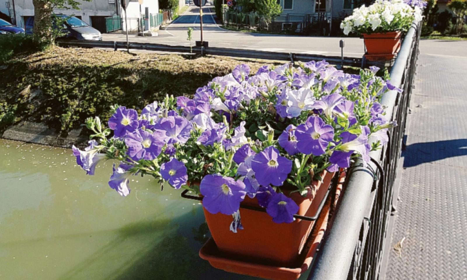 Fiori e colori abbelliscono il centro