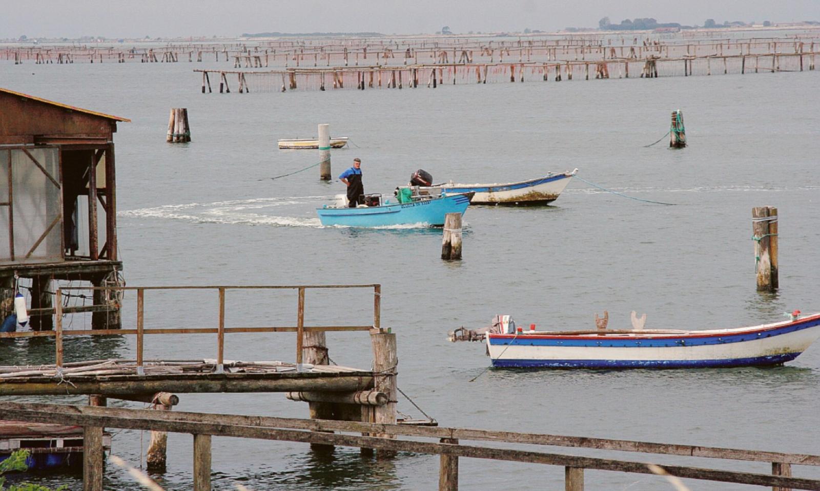 Il Tar non pu&ograve; decidere sulle autorizzazioni di pesca