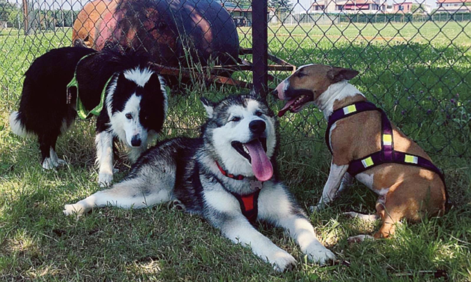 Lo sport con loro &egrave; pi&ugrave; bello!