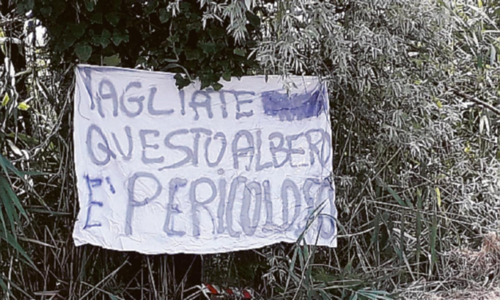 Albero pericolante segnalato dai residenti con un lenzuolo