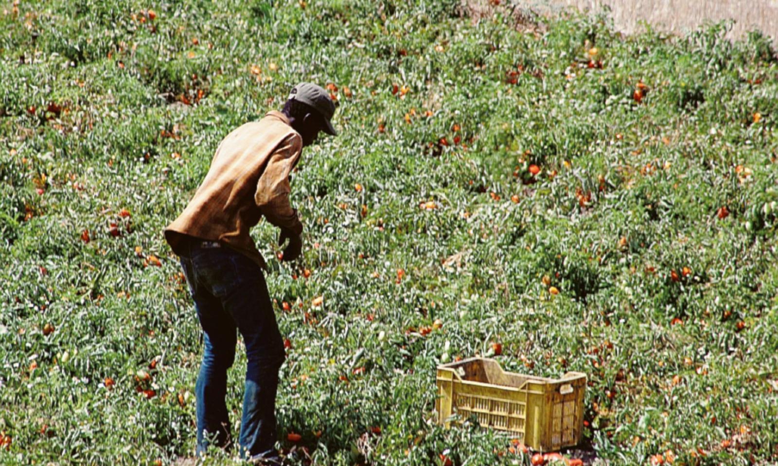 Lavoro di stagione? &ldquo;No grazie&rdquo;