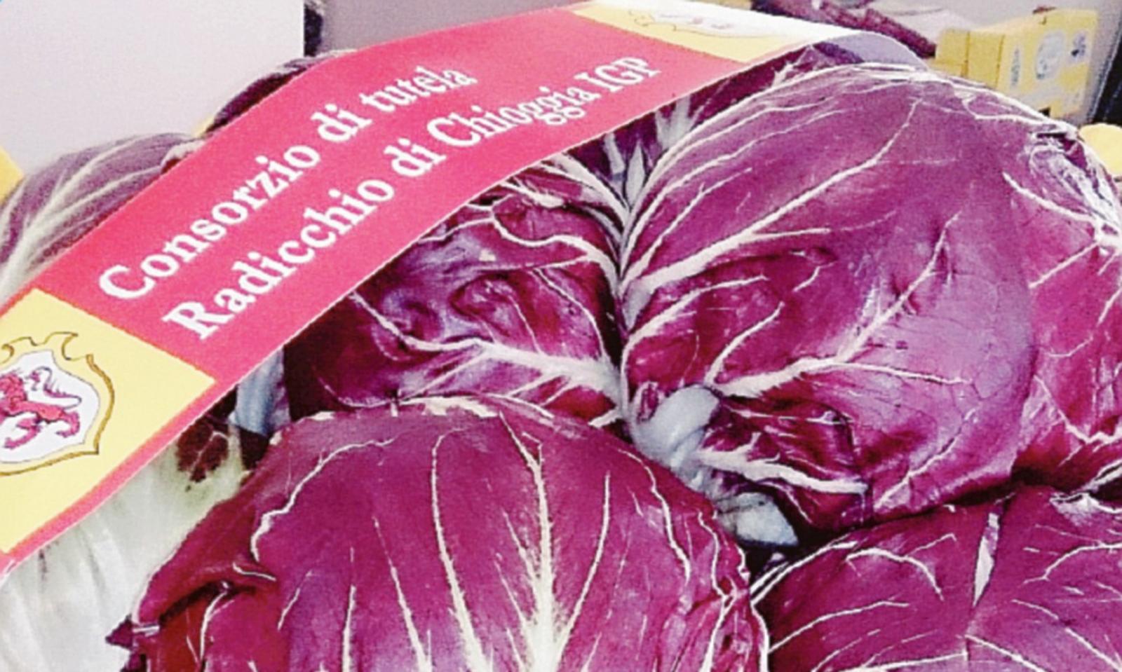 Radicchio da valorizzare, il corso