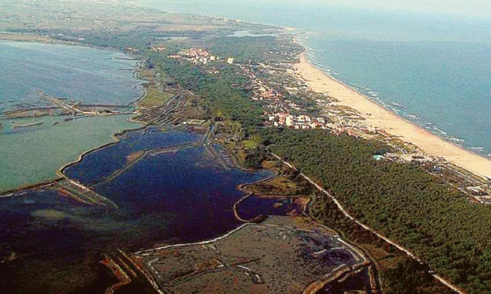 Il museo immerso nella natura