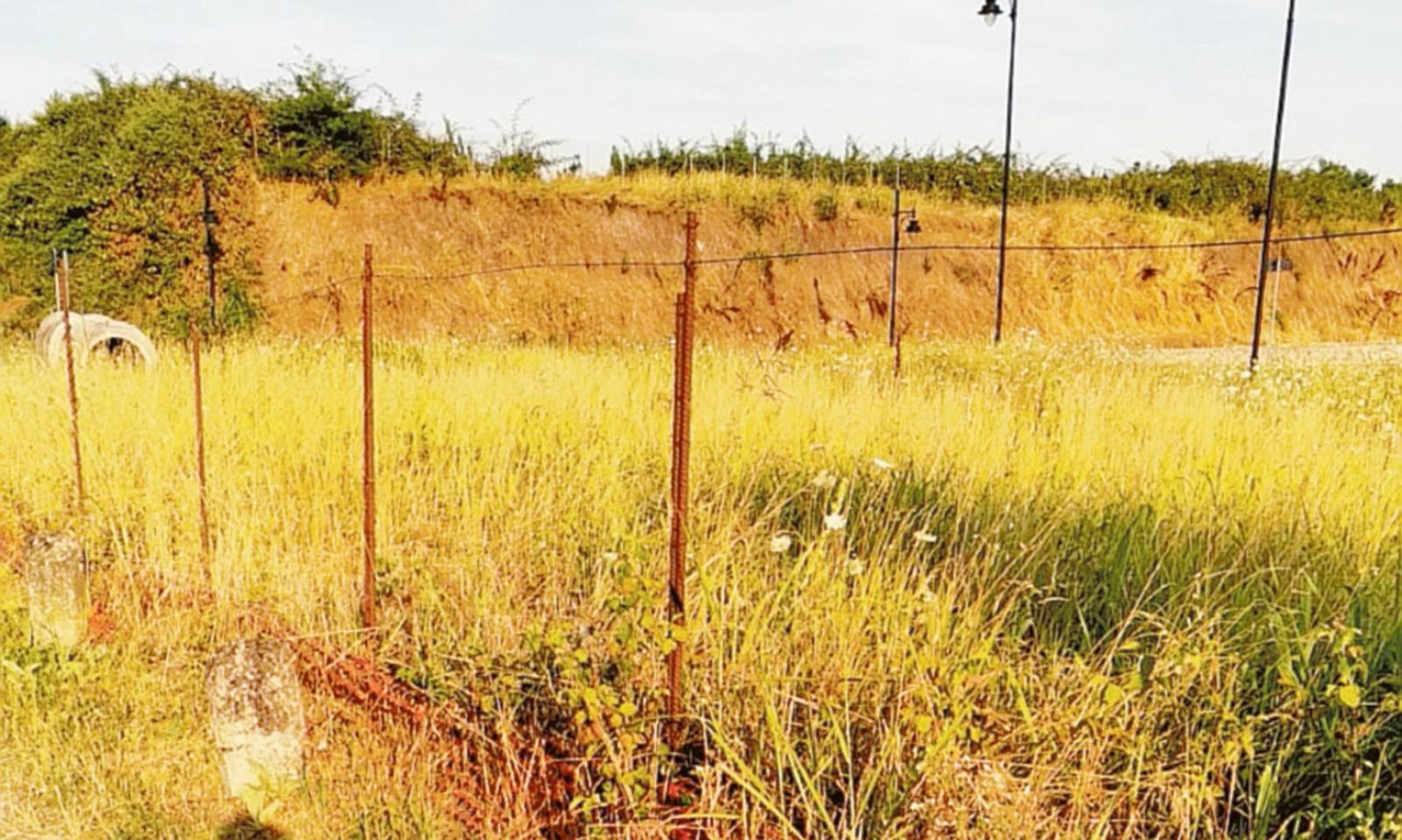 Ca&rsquo; Dolfin insorge contro il degrado