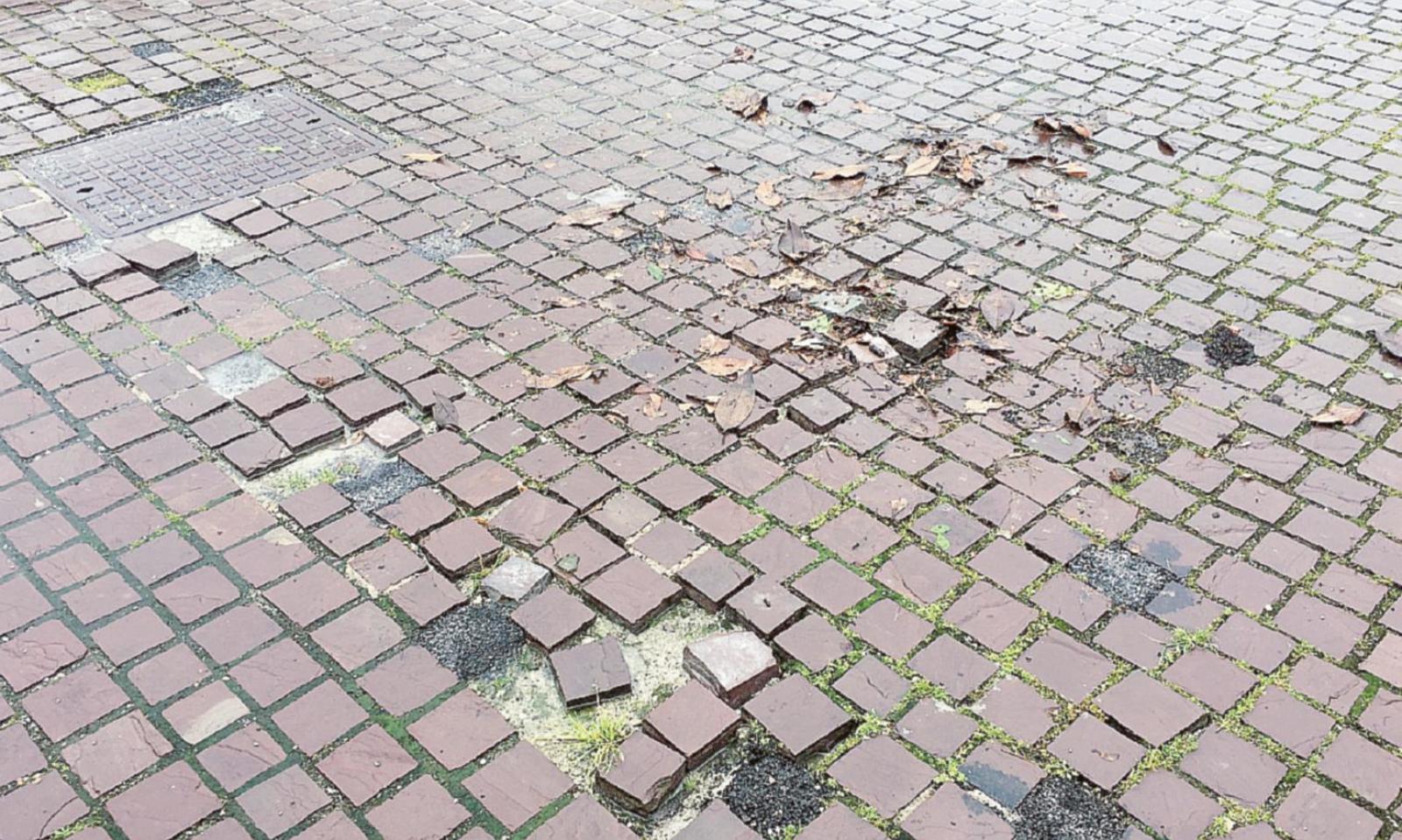 Trappola d&rsquo;asfalto, viso tumefatto