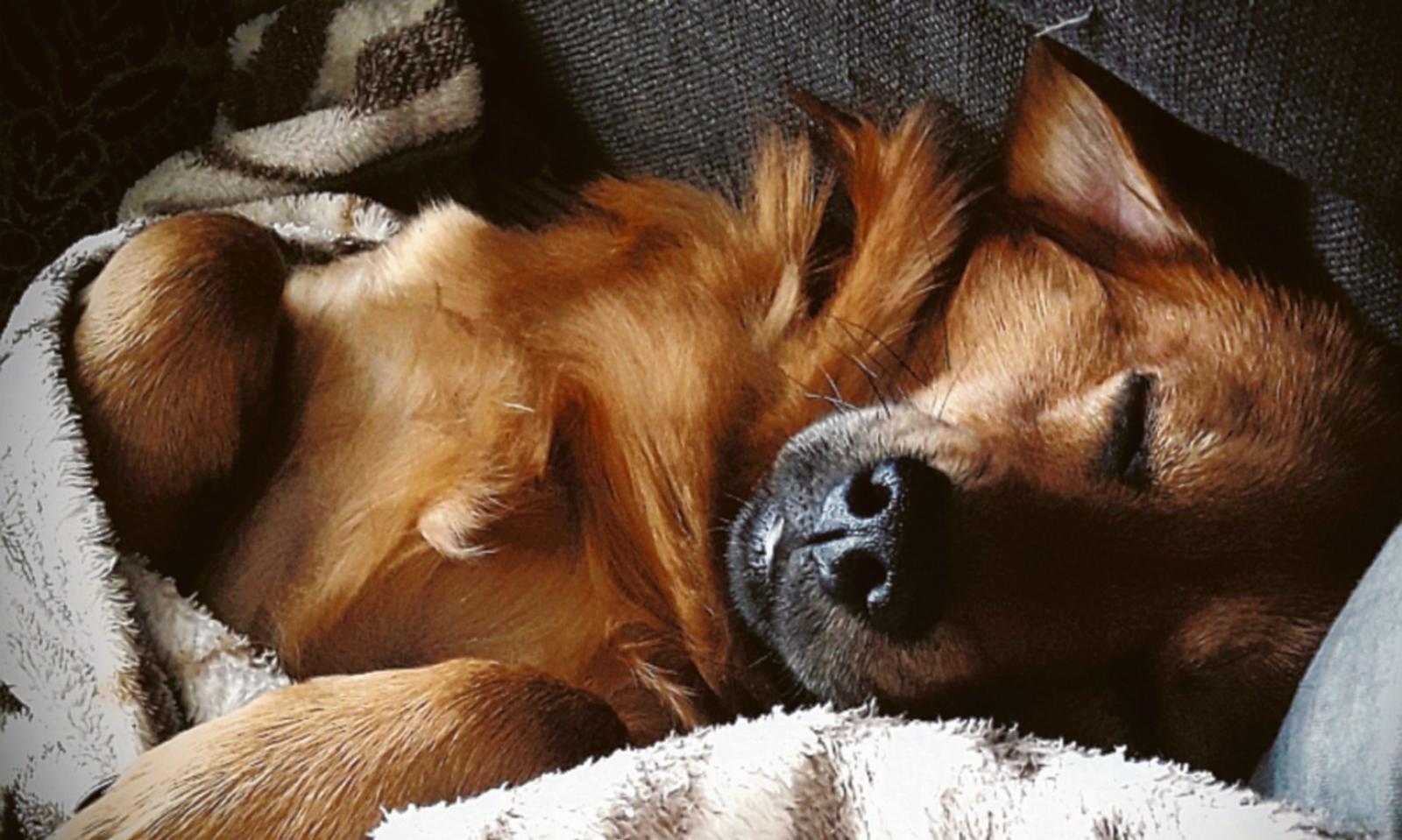 In cerca di &ldquo;like&rdquo; contro l&rsquo;abbandono