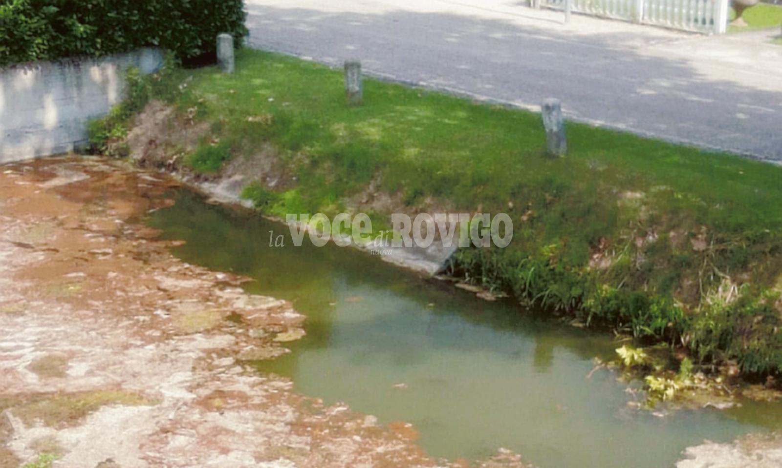 Acque rosse e schiuma nel Valdentro? E&rsquo; tutto naturale 