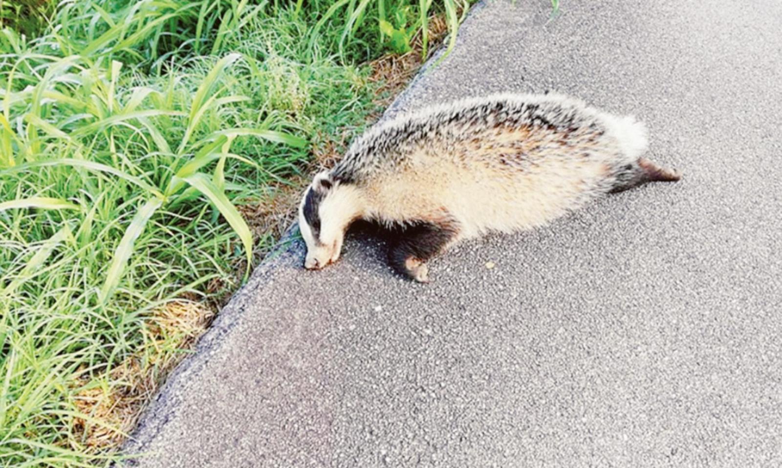 Tornano i tassi, argini a rischio