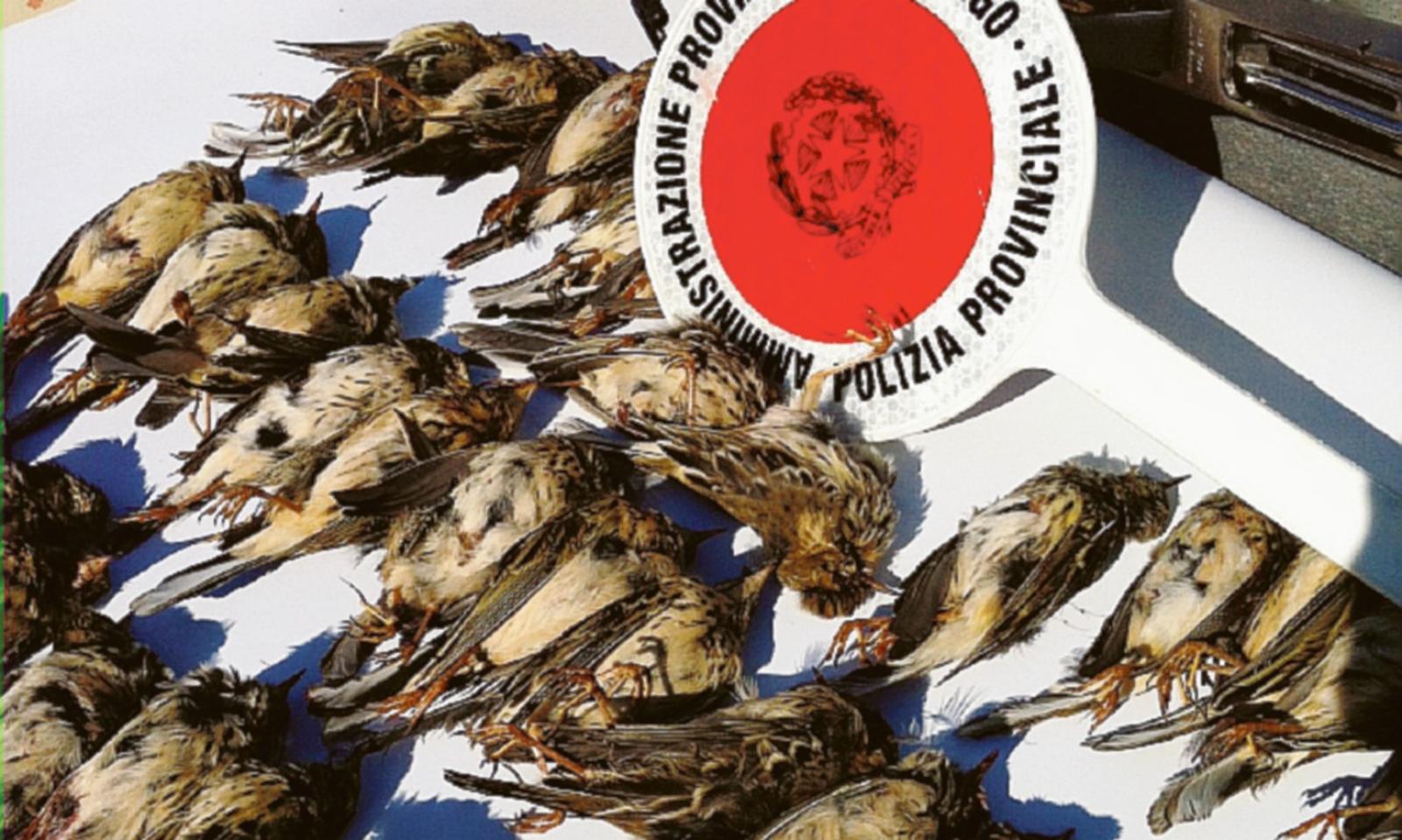 Si rompre il congelatore: la puzza invade la Provincia