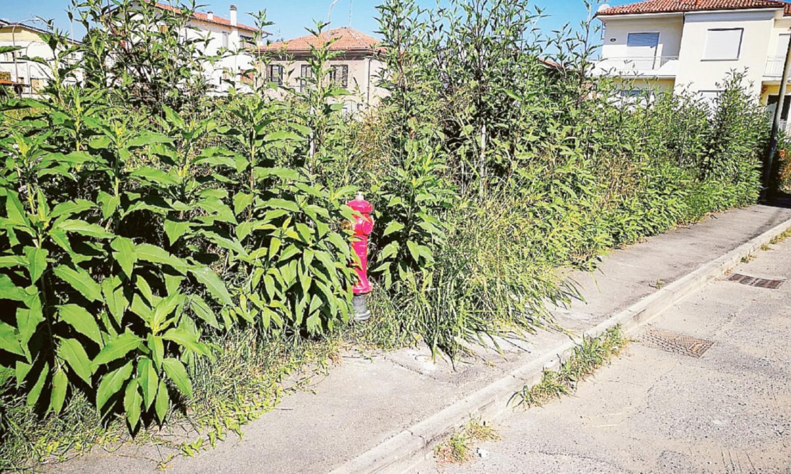 Se la strada diventa uno sterrato