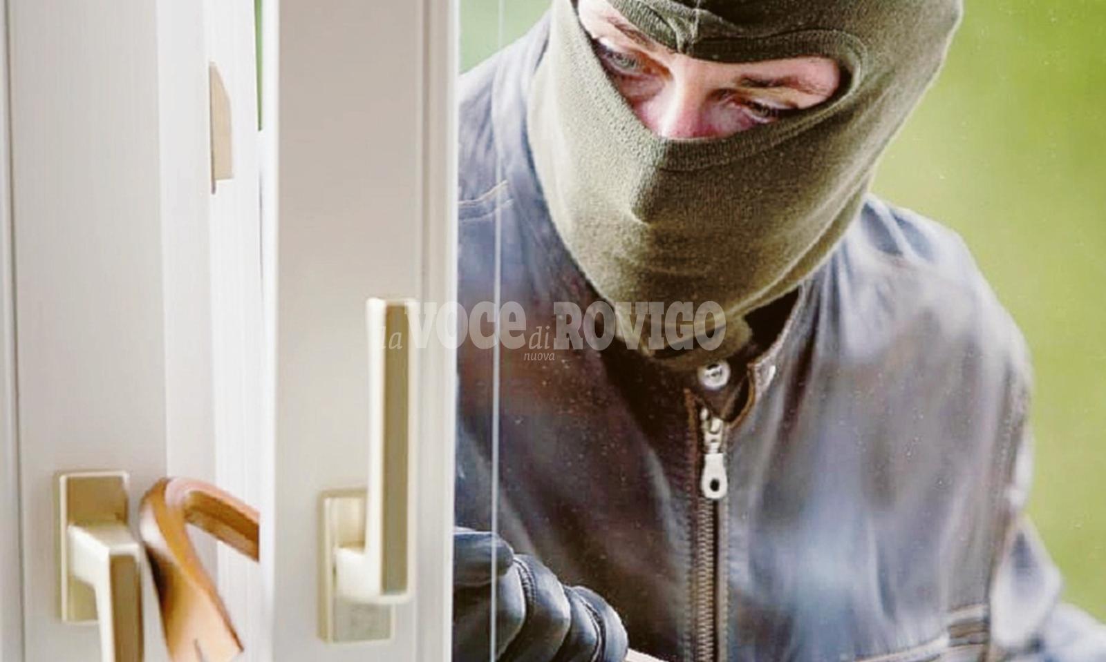 A tu per tu col ladro in salotto