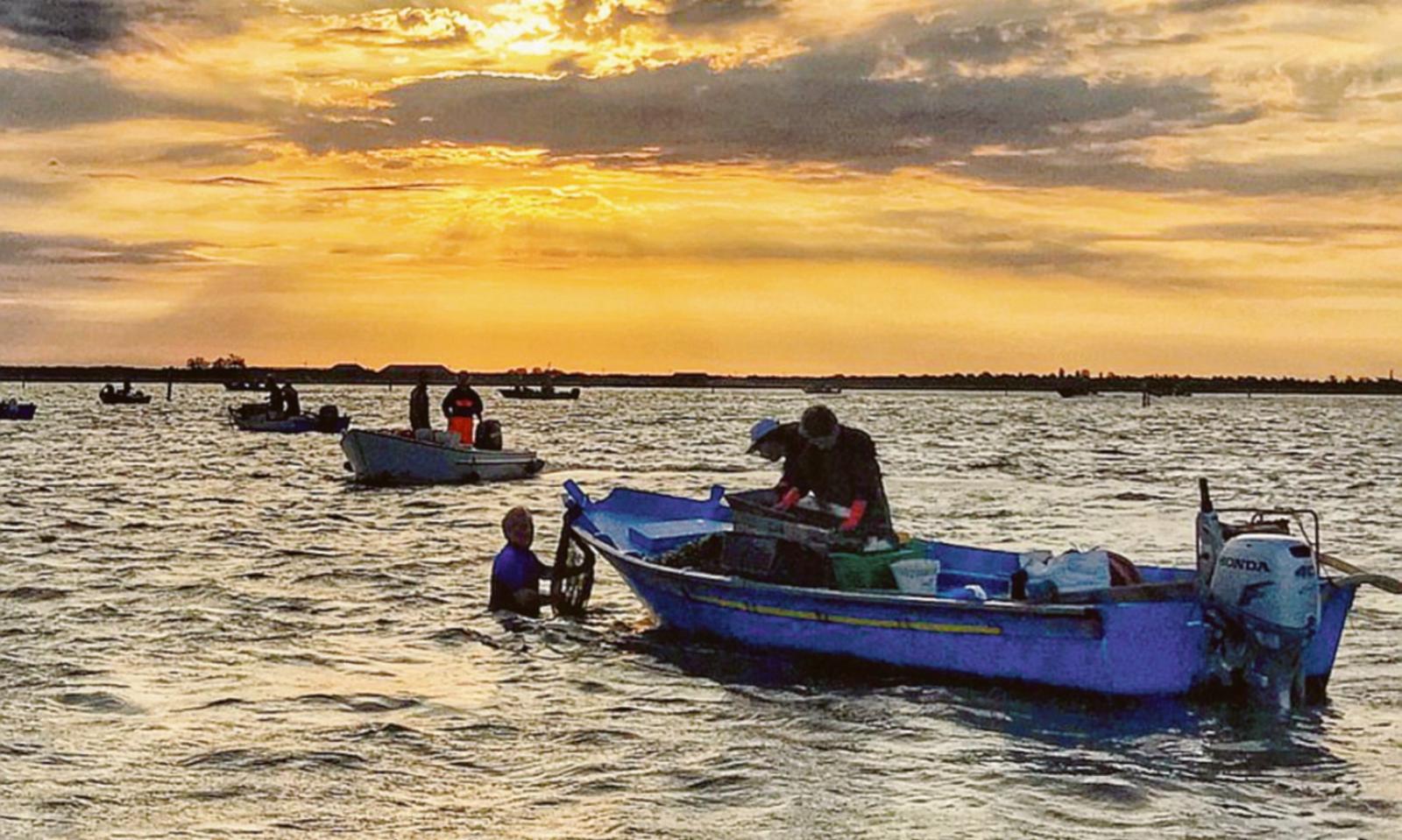 Pesca, Dall&rsquo;Ara non cambia idea