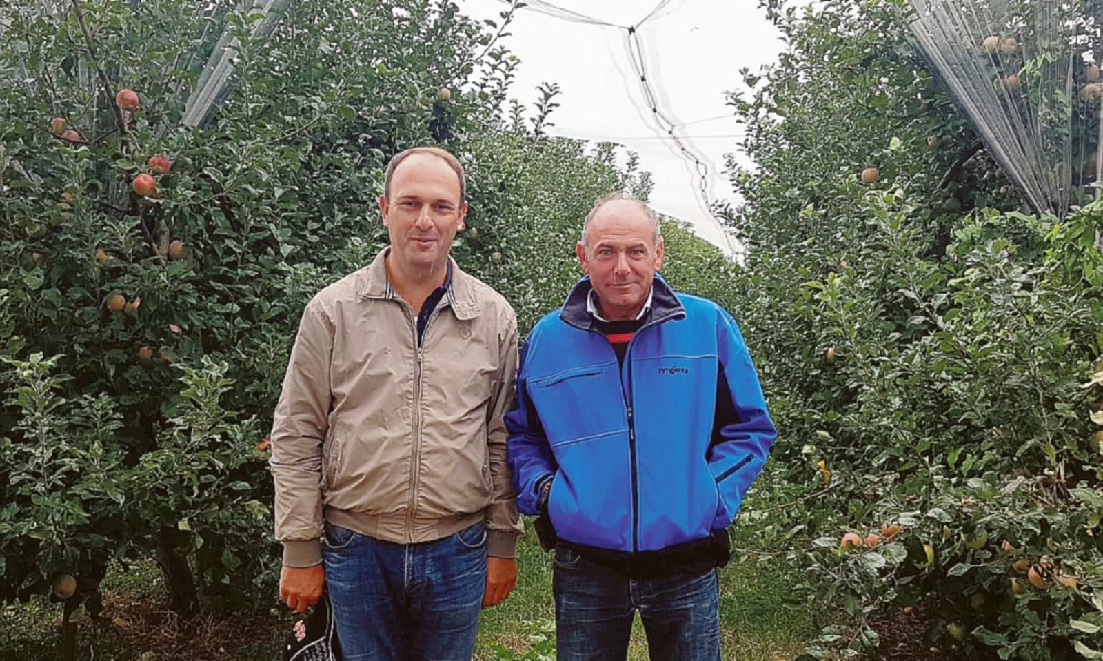 Cimice, &ldquo;senza aiuti sar&agrave; la fine&rdquo;