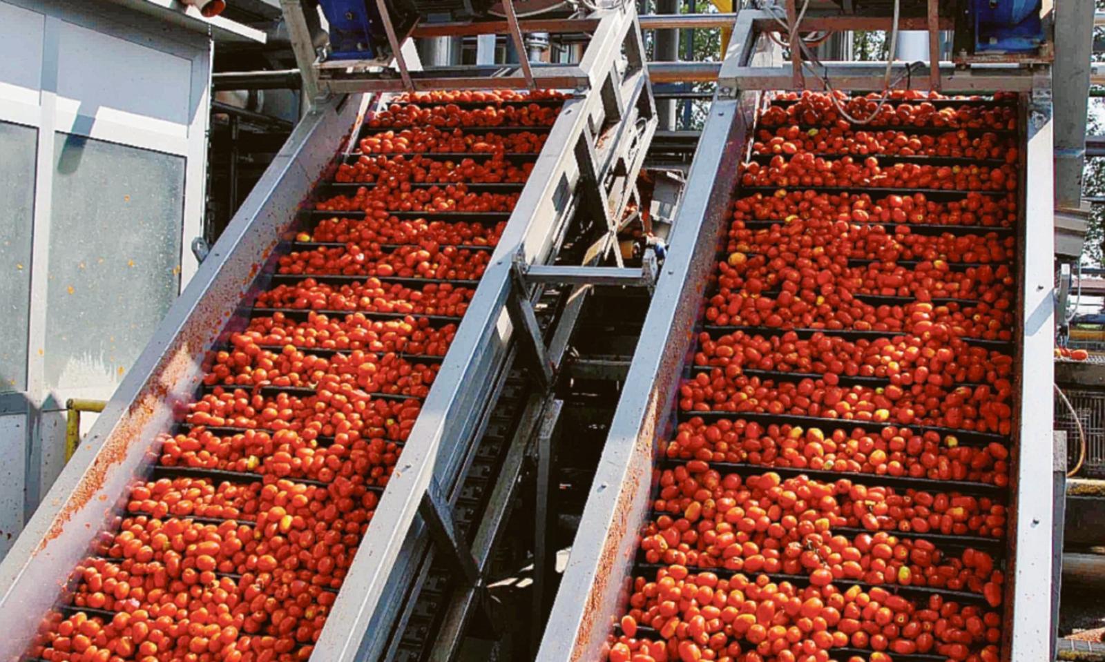 Il satellite per i campi di pomodoro