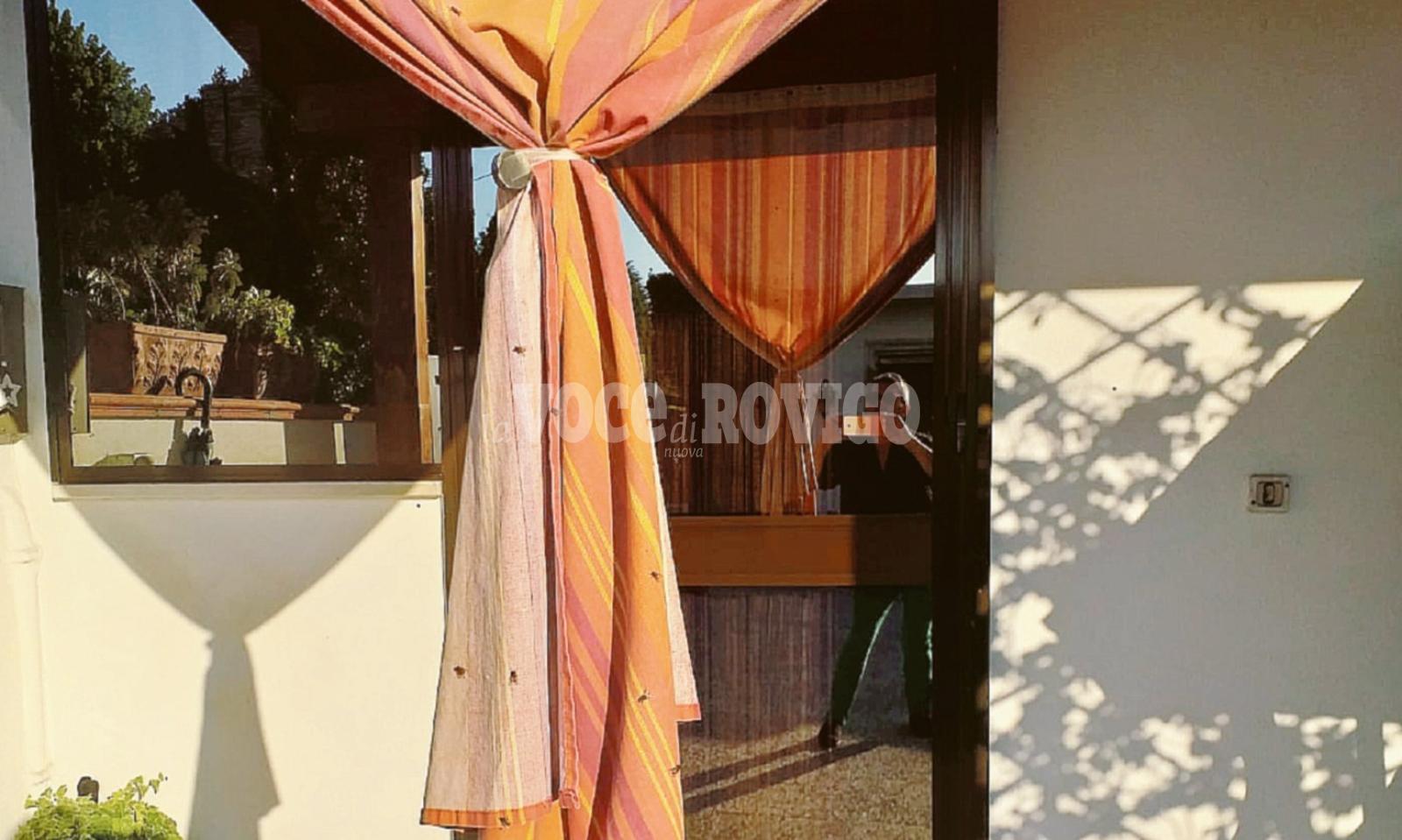 Una casa invasa dalle mosche