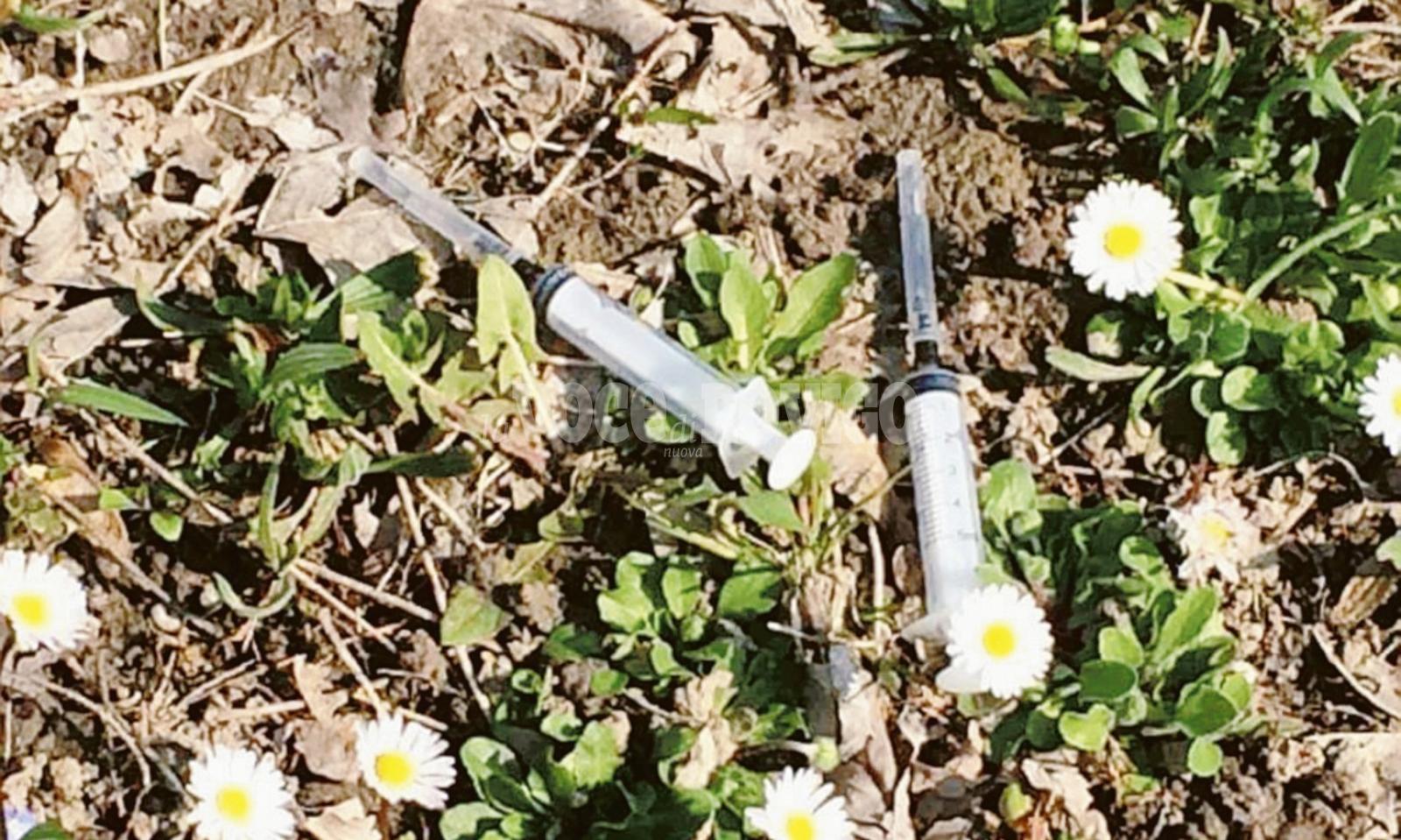 Allarme siringhe sull&rsquo;argine del Po