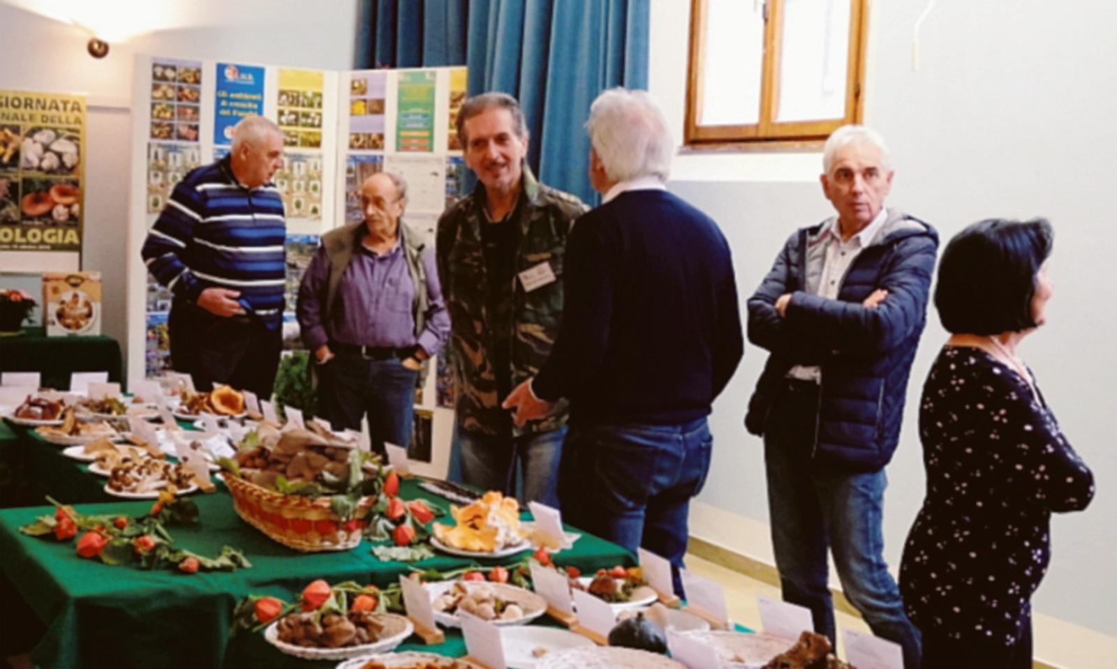 Funghi, tartufi e pure bonsai