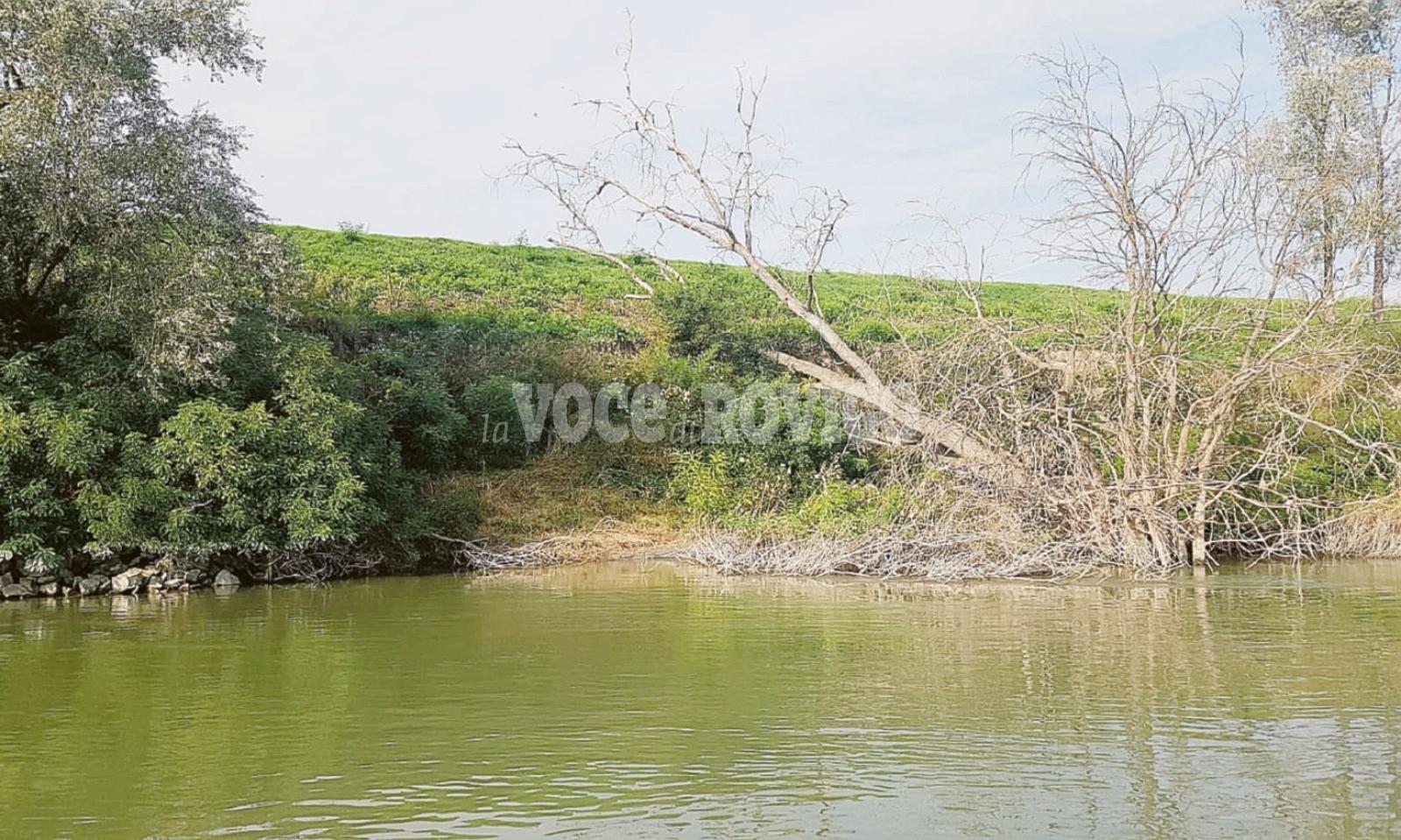 Presto i lavori sull&rsquo;argine franato