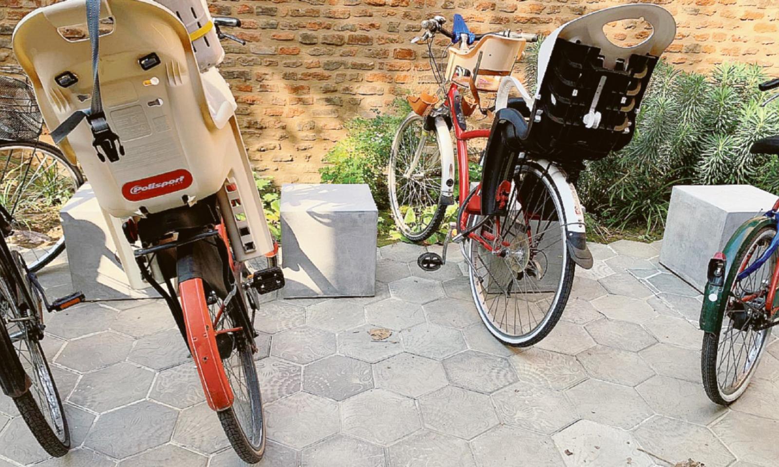 Vita da cubi bistrattati e... ricercati