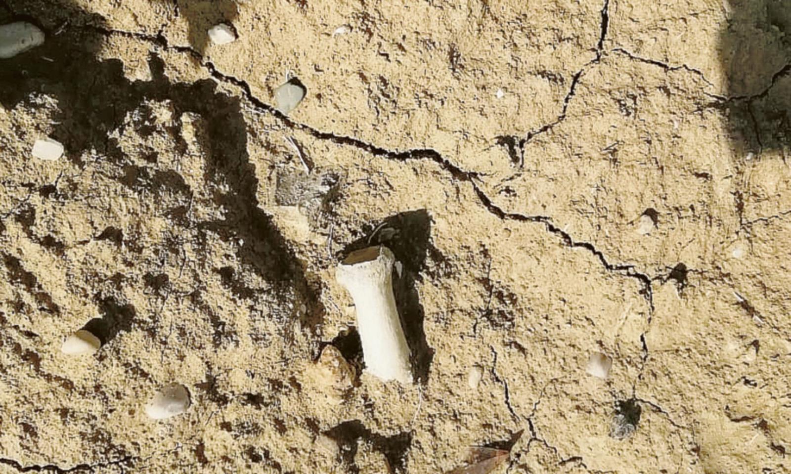 Il cimitero in versione horror