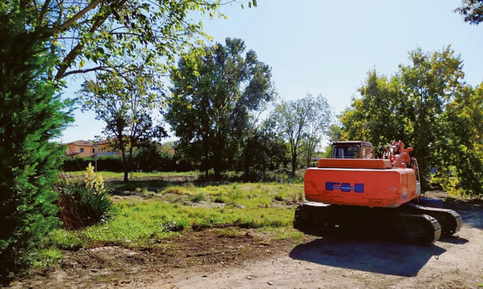 Borgo Mimose torna a splendere