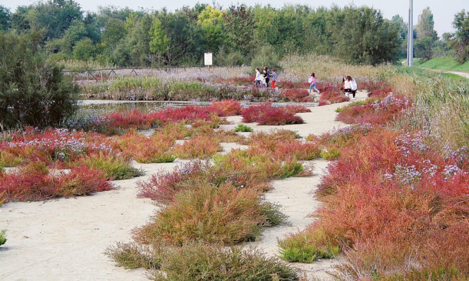 La magia del Delta in autunno
