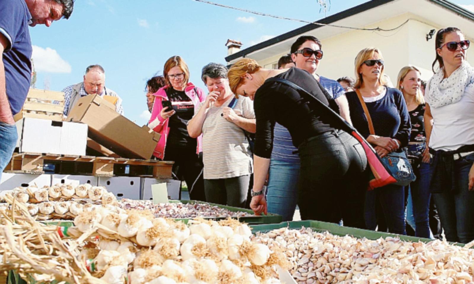 Il nostro aglio conquista la Slovenia: oro bianco