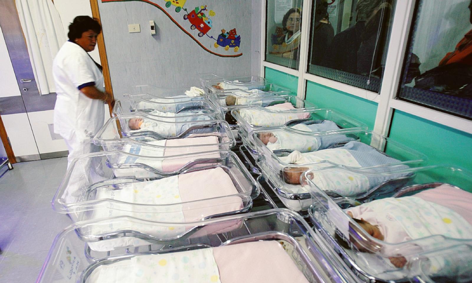 Nuovi nati, Polesine in picchiata