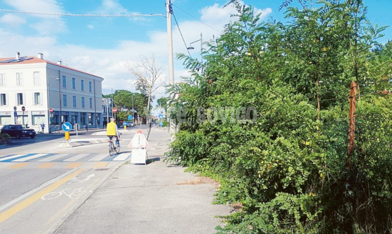 Bisce e topi, &ldquo;multate il Comune&rdquo;