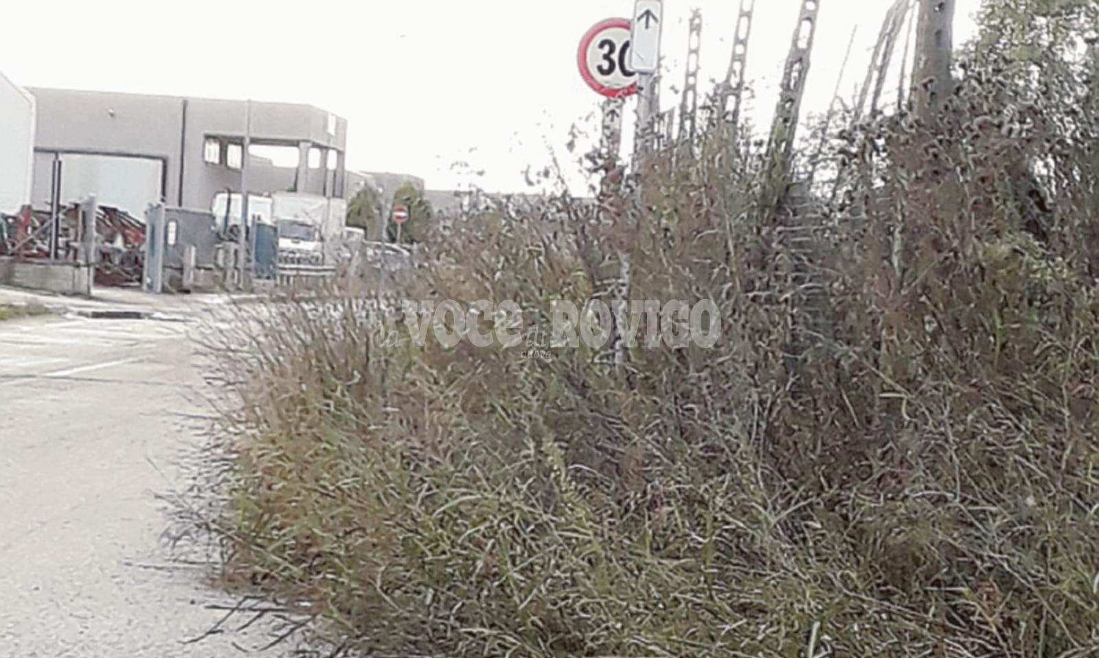 &ldquo;Il nostro paese &egrave; nel degrado&rdquo;