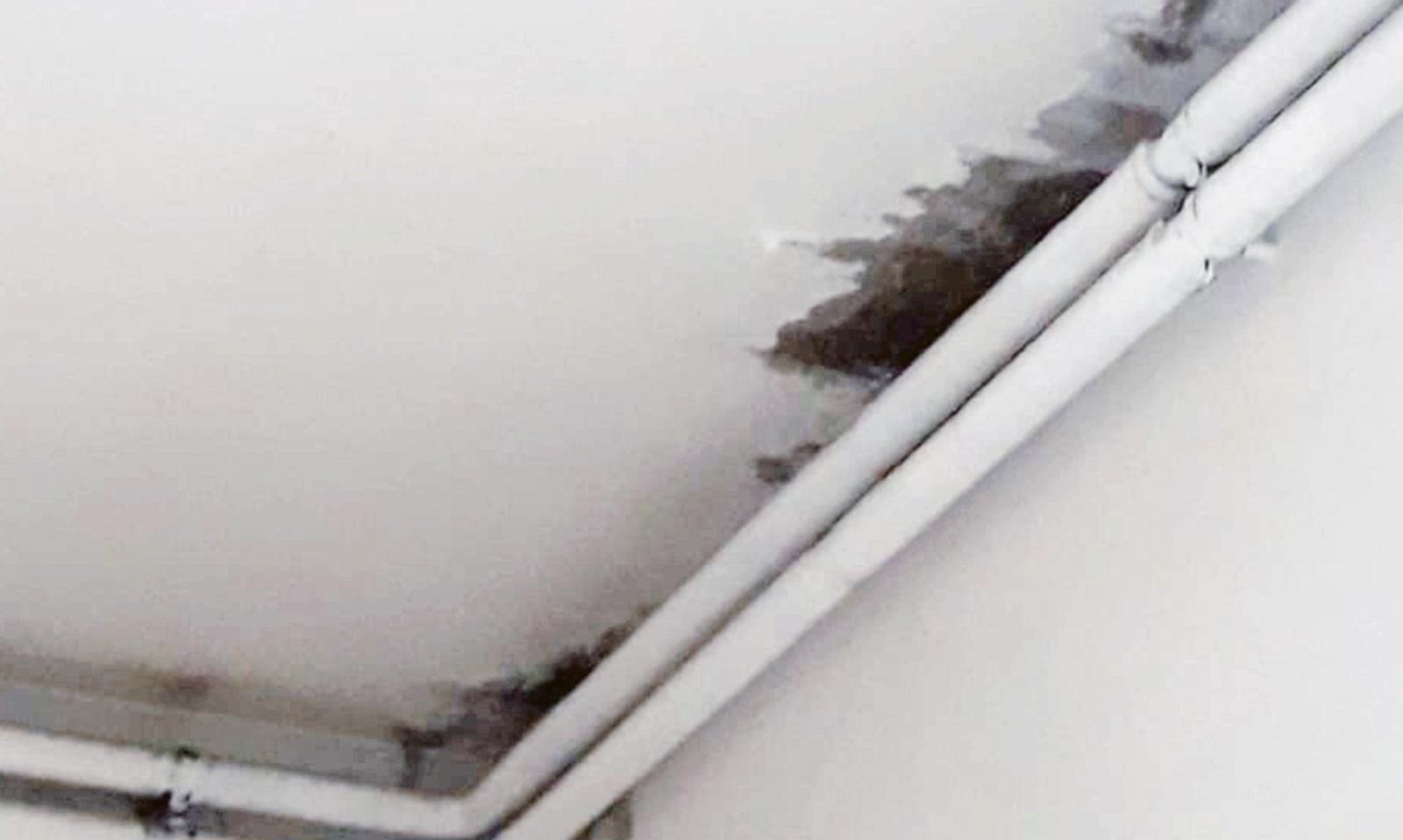 Incredibile: muffa e crepe in aula