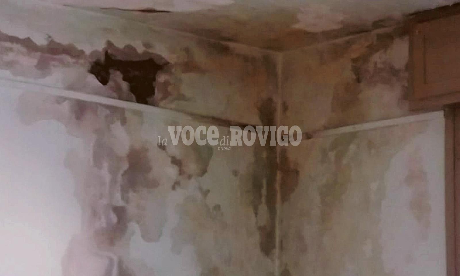 &ldquo;Sulla Collodi solo falsi allarmismi&rdquo;