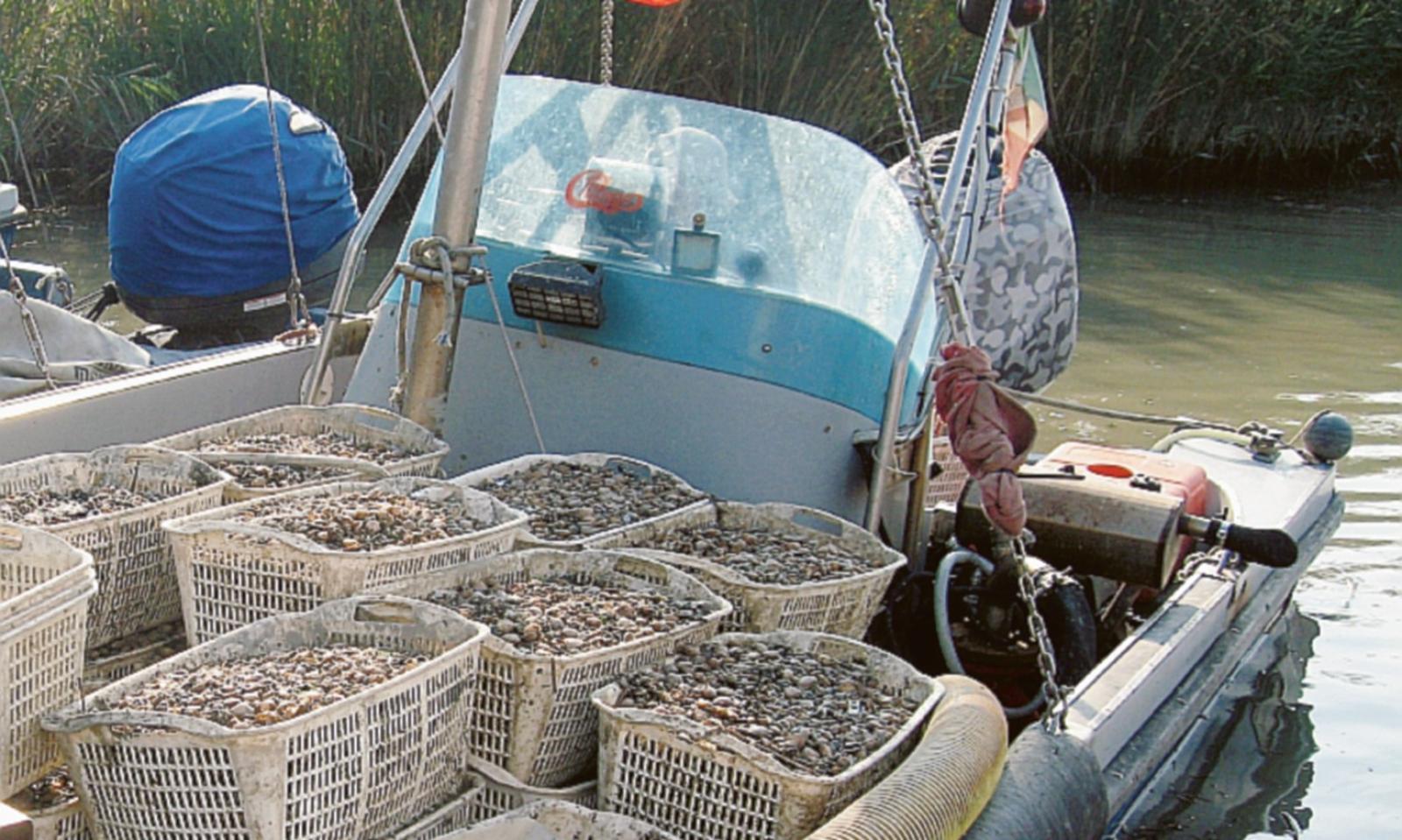 Ancora uno schiaffo ai pescatori
