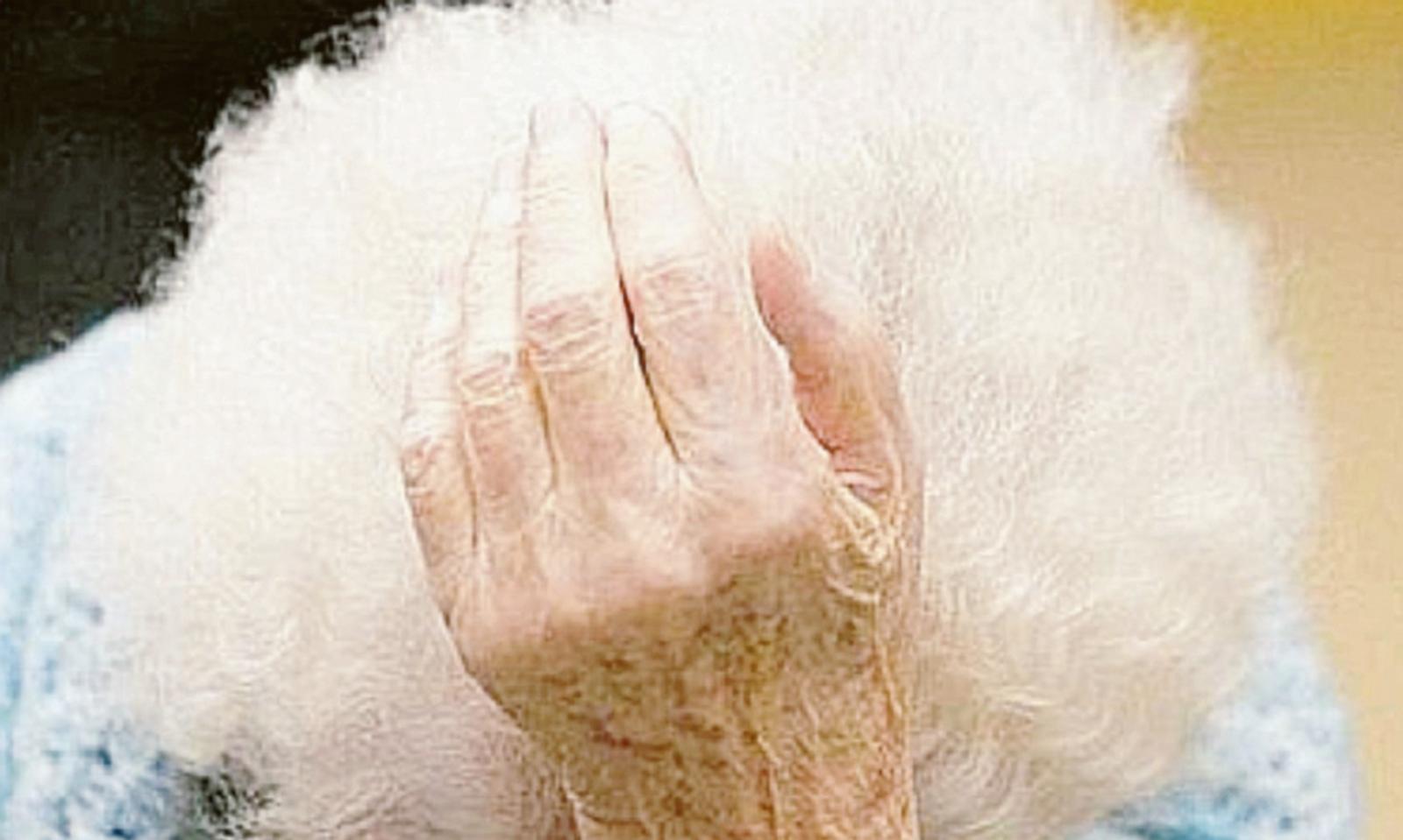 "Datemi i soldi": per anni picchia gli anziani genitori