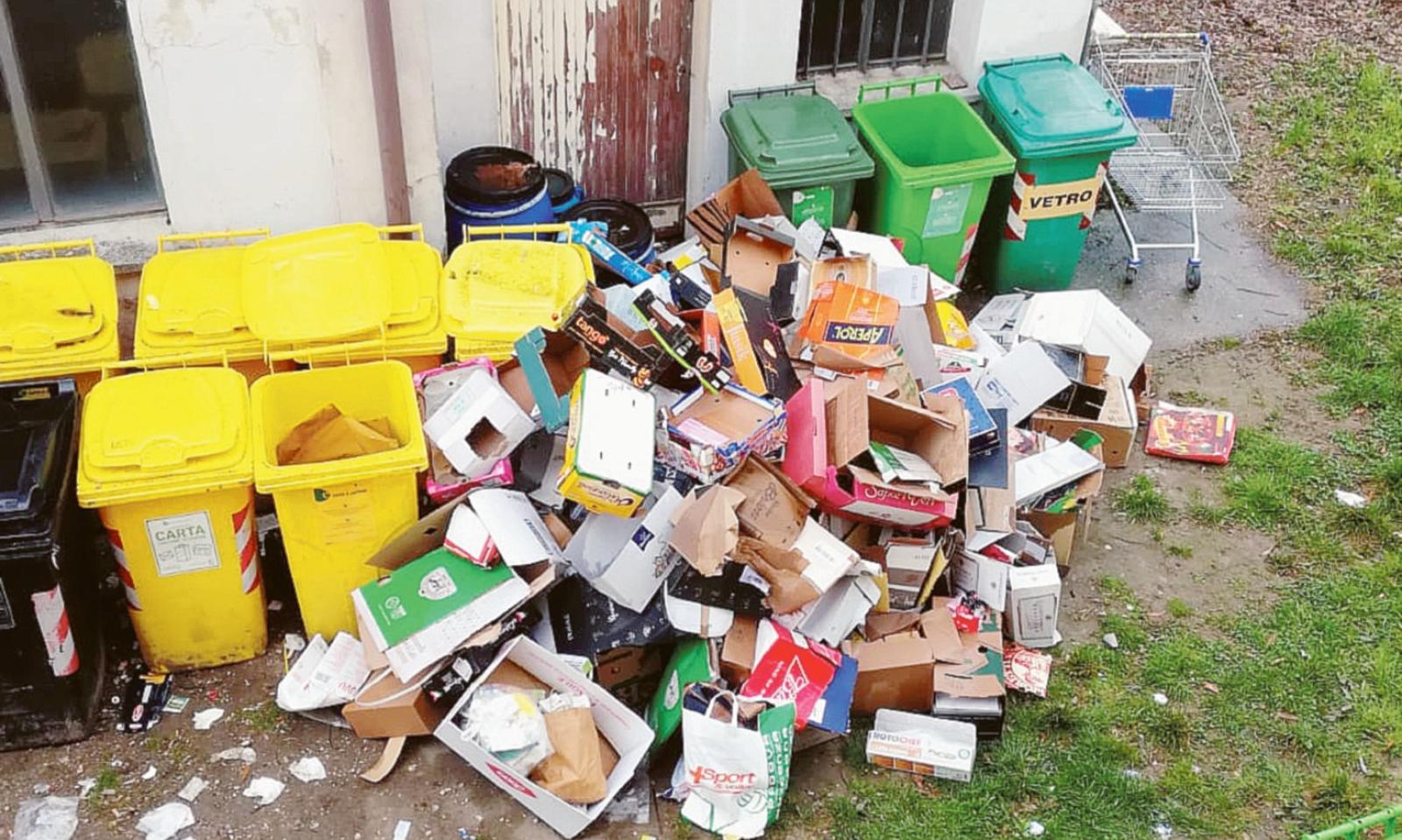 Nell&rsquo;isola ecologica spuntano i topi