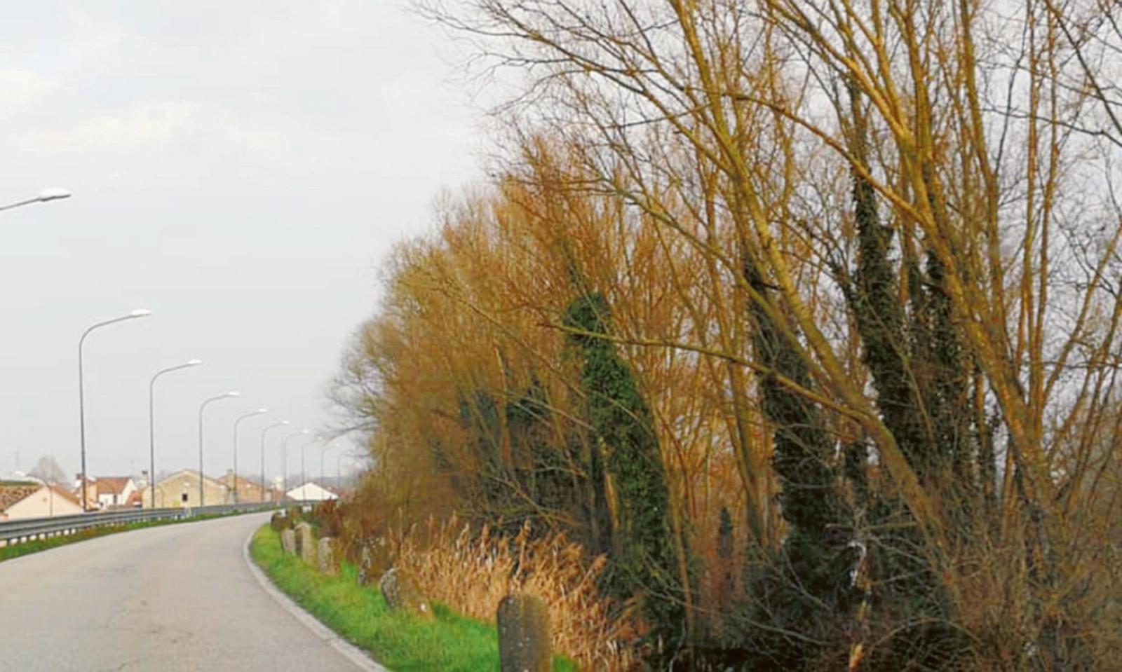 Inizia l&rsquo;incubo erba alta sugli argini