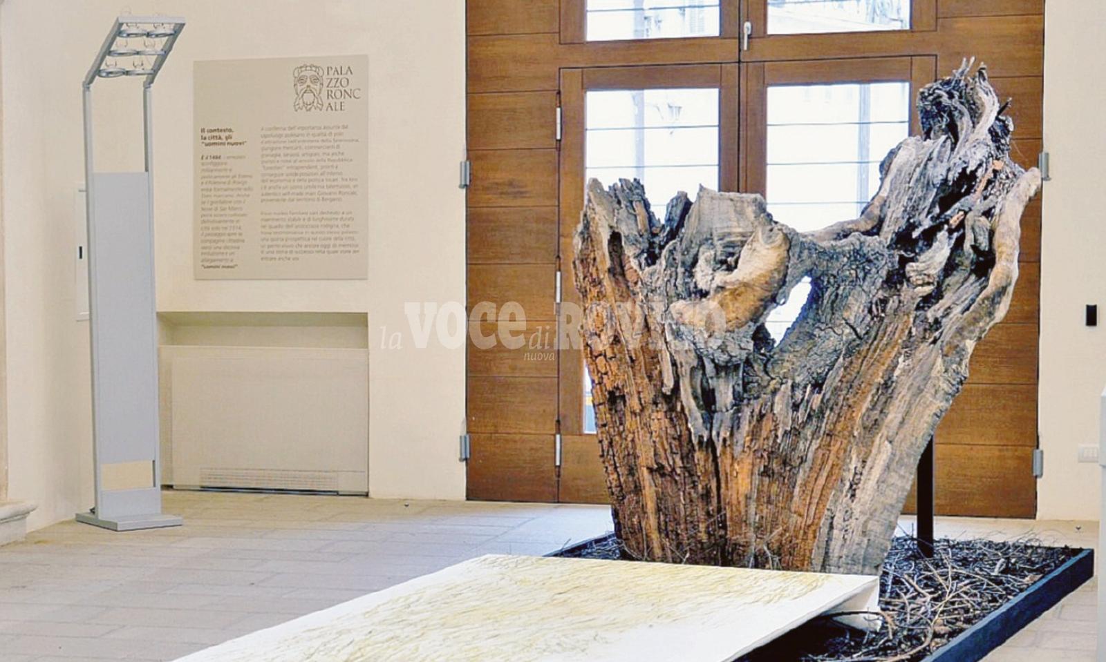 La Quercia che orient&ograve; il Sommo Poeta