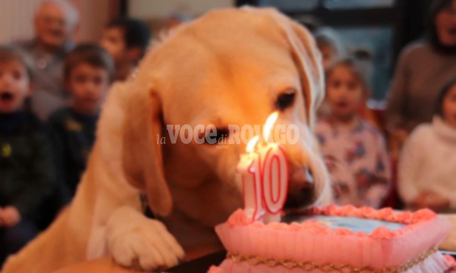 Problemi per Penny la mascotte