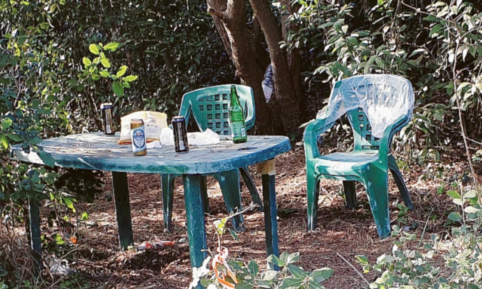 Fanno festa di notte tra gli alberi della pineta di San Giusto