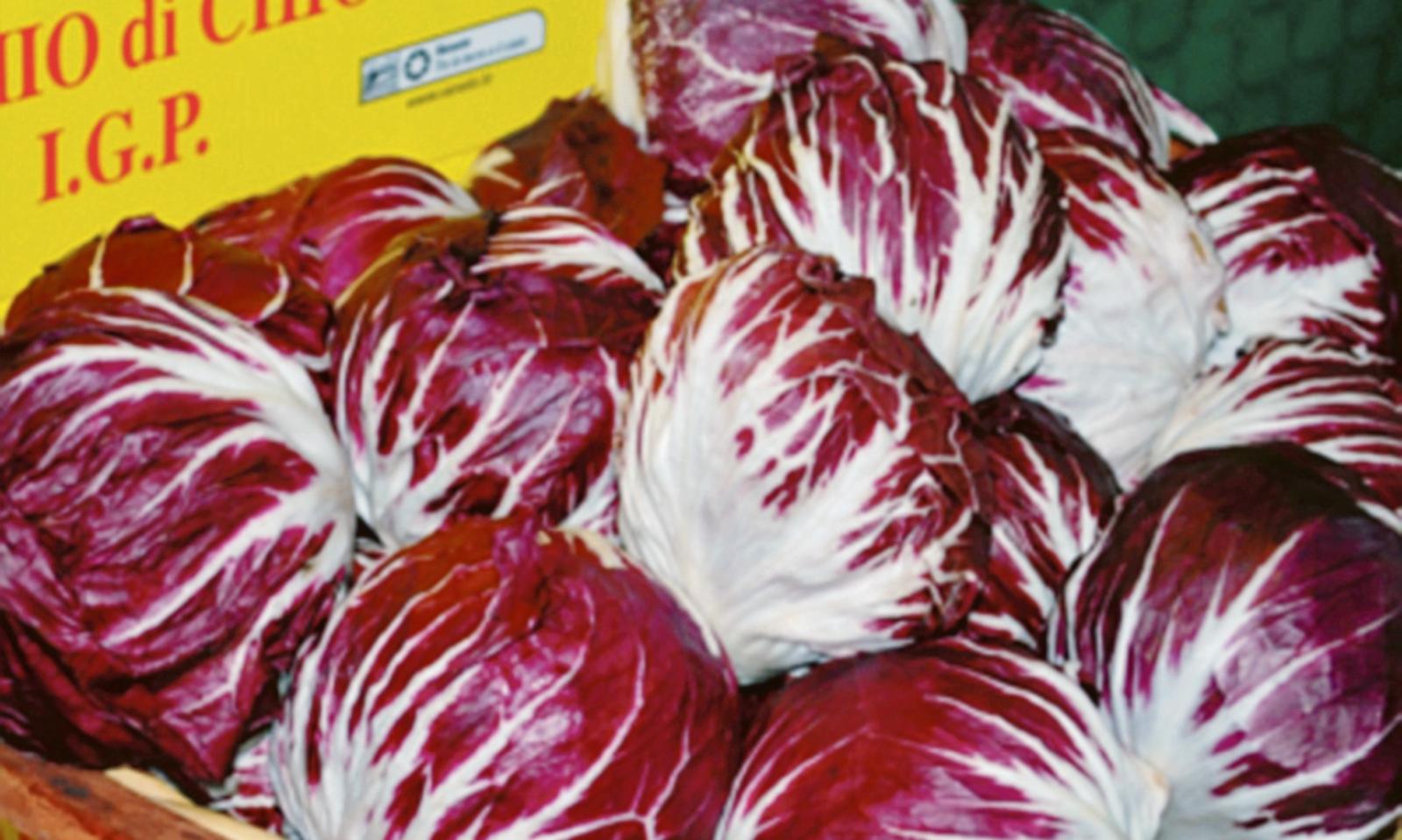 Radicchio, &egrave; crisi: mercati al collasso