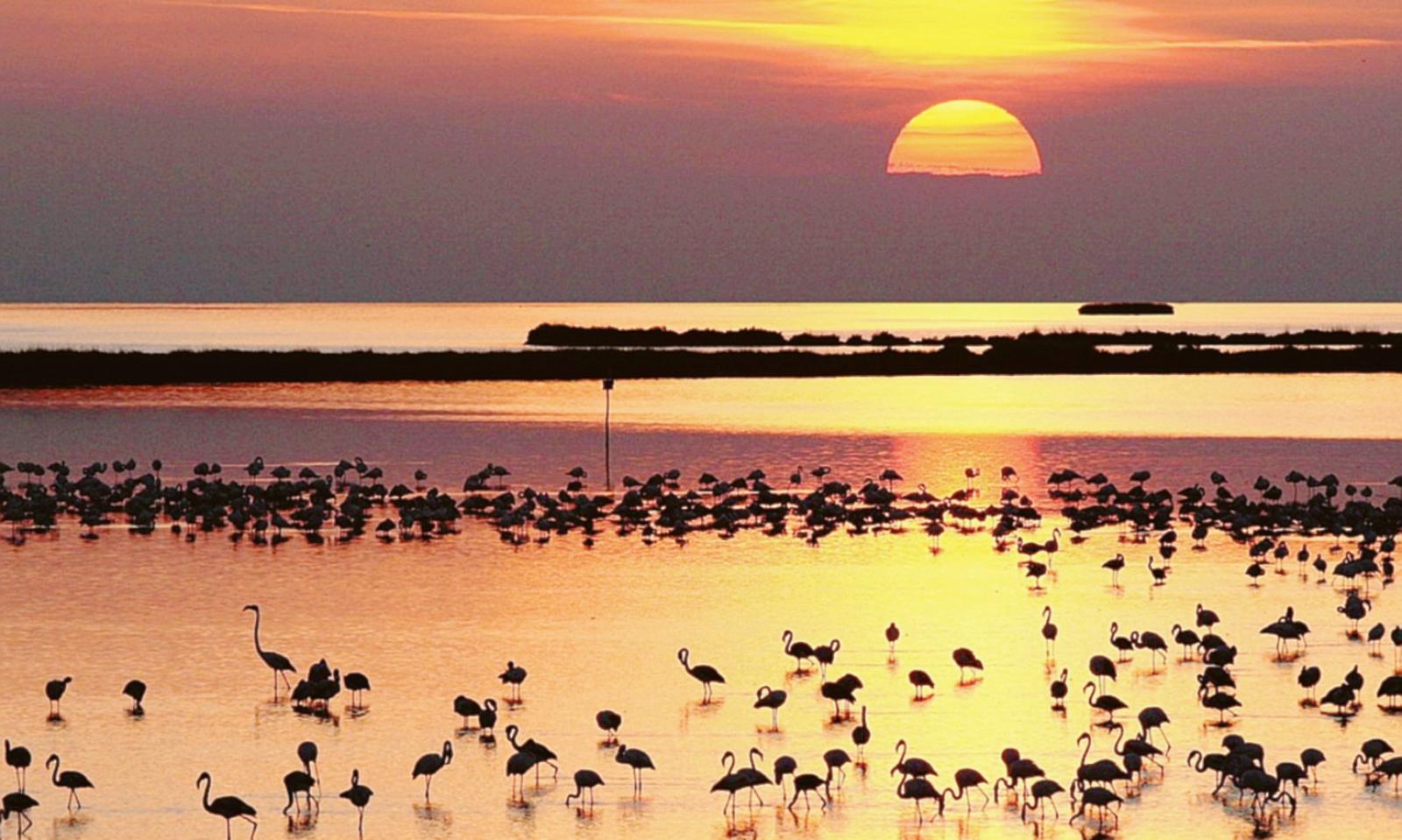 Il Polesine nel cuore con un clic