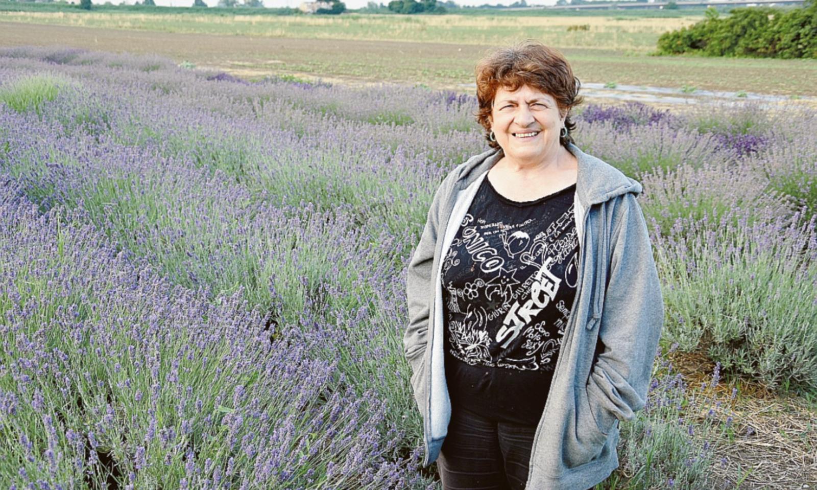 La lavanda &ldquo;spopola&rdquo; nel Delta