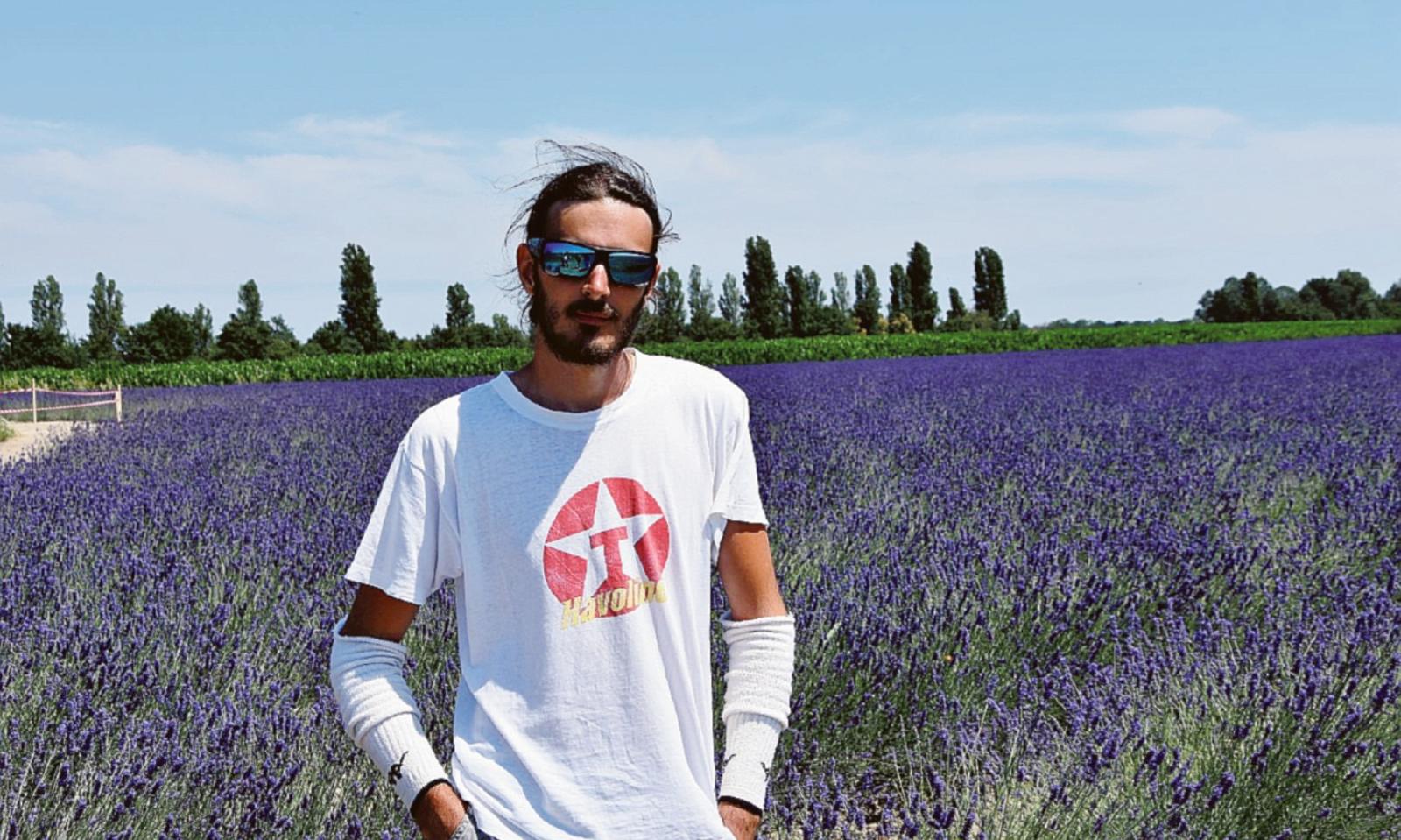 Vandali con l'auto sul campo di lavanda