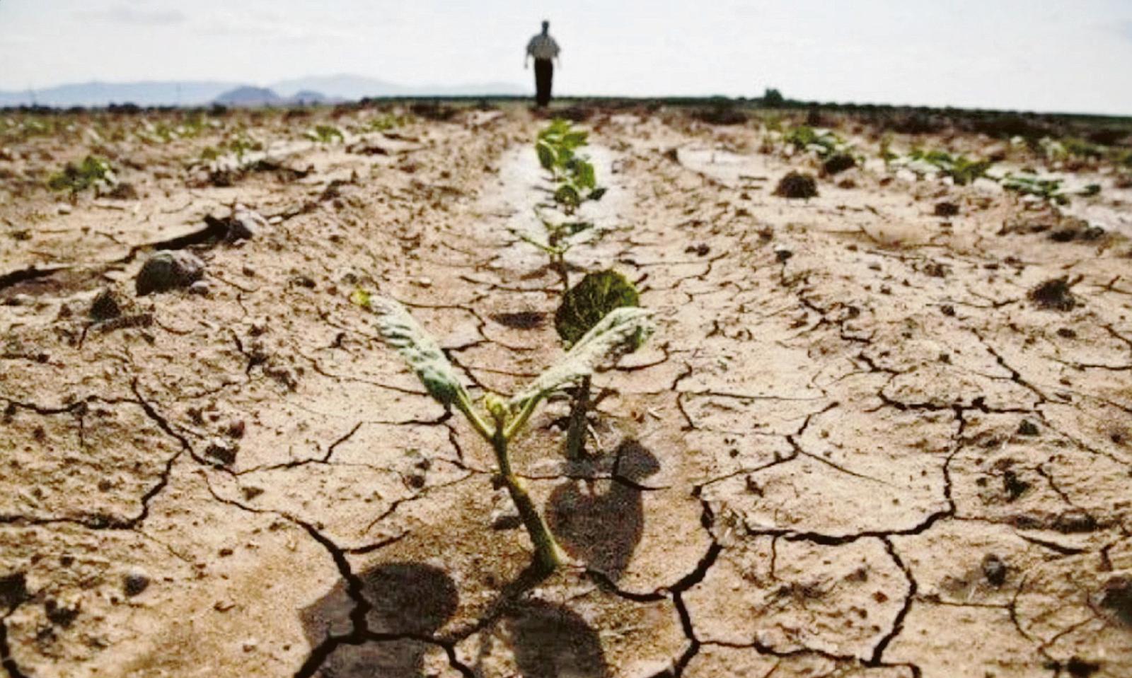 Polesine a rischio desertificazione: 48mila ettari a rischio di aridit&agrave;